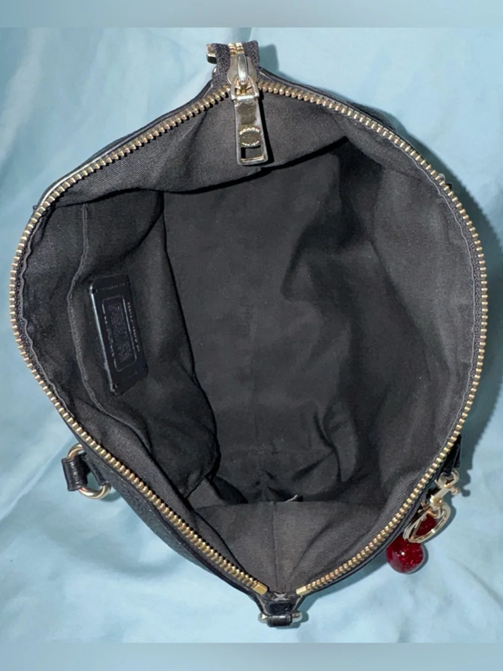 COACH Mini Emma Satchel (F31466) Pebbled Leather with Cherry Charm - Picture 12 of 13